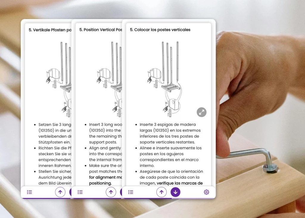 Multi-language product instructions